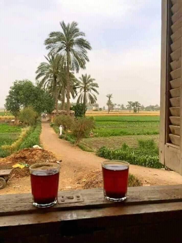 Top Tourist Attractions in Egypt You Can’t Miss